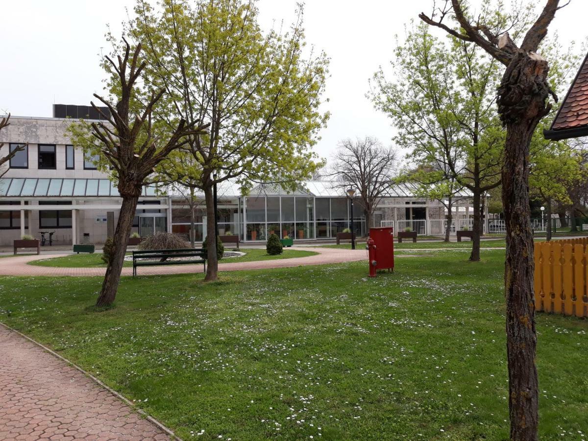 Apartma C-06, C-11 Moravske-Toplice Buitenkant foto