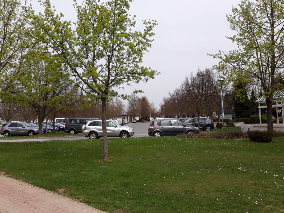 Apartma C-06, C-11 Moravske-Toplice Buitenkant foto