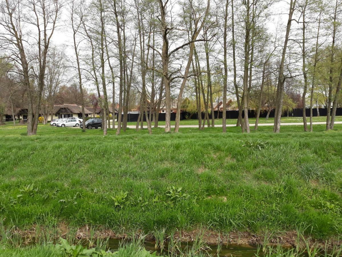 Apartma C-06, C-11 Moravske-Toplice Buitenkant foto